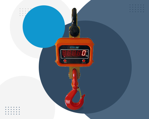 Crane Weighing Scale